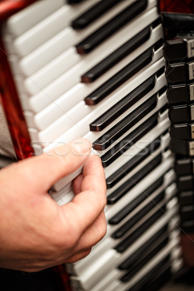 Hands playing an accordion instrument Stock photo © grafvision
