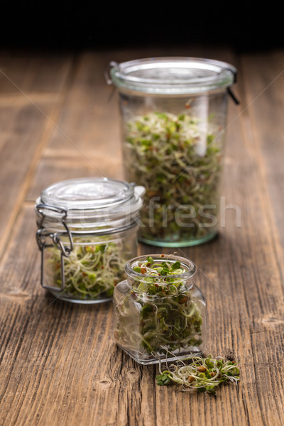 Stock photo: Mix of sprouted seeds 