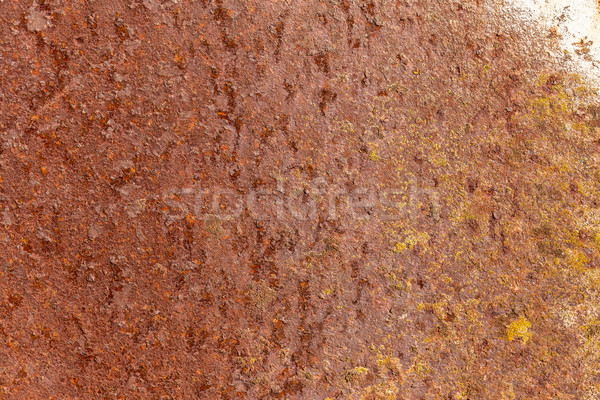 Foto d'archivio: Ruggine · arrugginito · foglio · metal · texture · muro · abstract