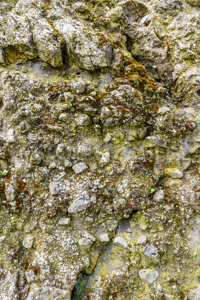 Muro de piedra cubierto musgo textura pared fondo Foto stock © grafvision