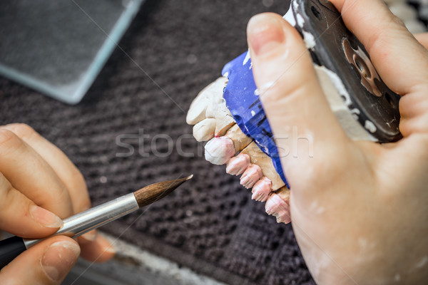 Foto stock: Dental · técnico · pintura · dente · modelo · mão