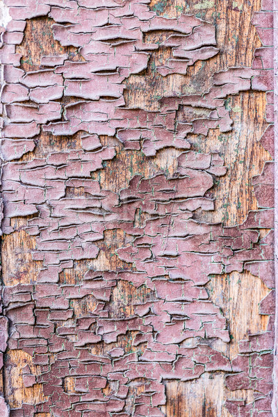 Oud hout bruin textuur abstract achtergronden macro Stockfoto © grafvision