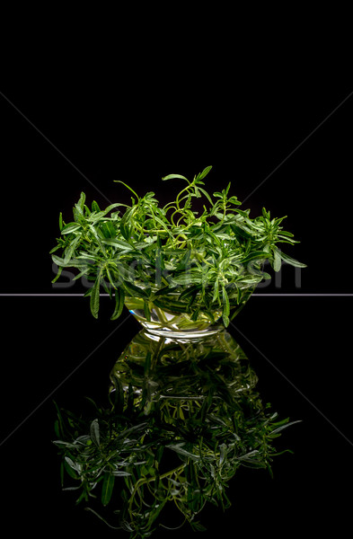 Bunch of fresh thyme Stock photo © grafvision