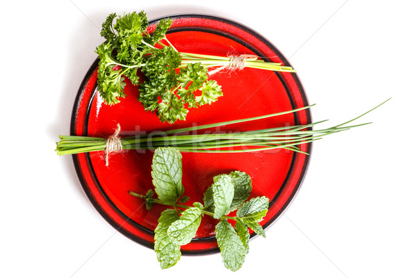 Tablicy zioła biały przyprawy herb organiczny Zdjęcia stock © grafvision