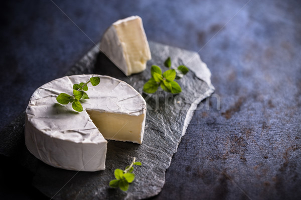 Camembert ser ciemne tle czarny biały Zdjęcia stock © grafvision