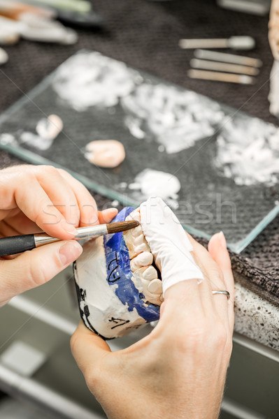 Woman hand painting denture Stock photo © grafvision