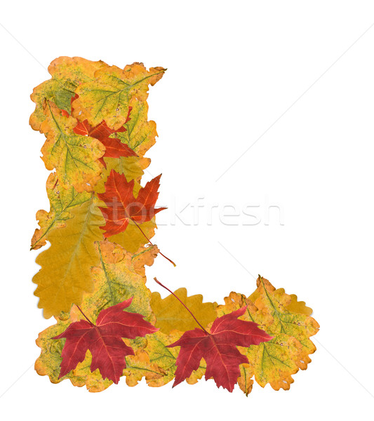 őszi levelek levél ábécé l betű fa természet Stock fotó © grafvision