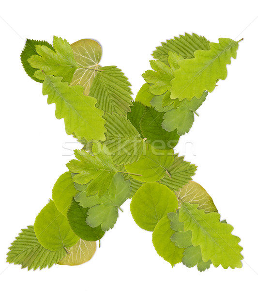 ストックフォト: 緑色の葉 · 手紙 · フォント · 白 · ツリー · 夏