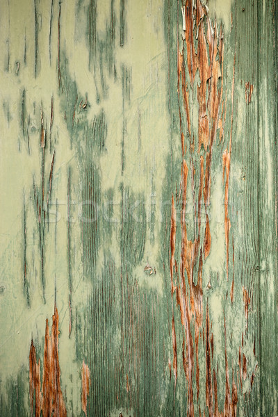 Wood background Stock photo © grafvision