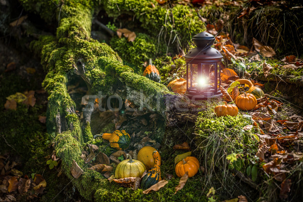 Halloween abóboras floresta fundo folhas vela Foto stock © grafvision