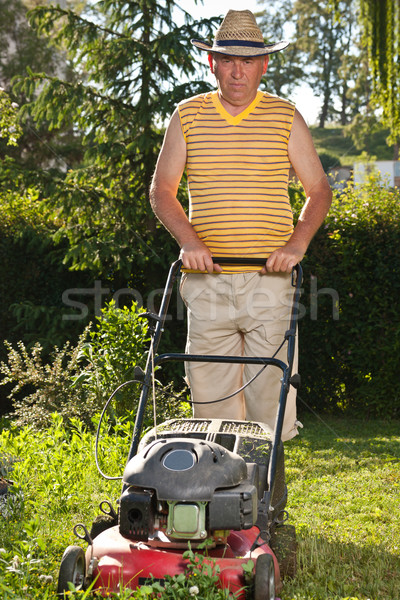 man mowing the lawn Stock photo © grafvision