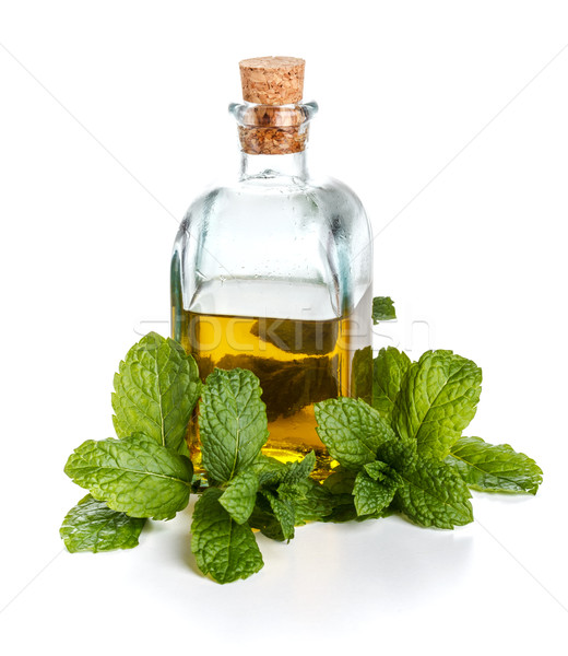 Olive oil with mint Stock photo © grafvision