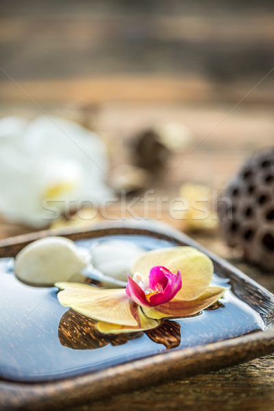 Foto stock: Orquídea · flores · flutuante · tigela · água