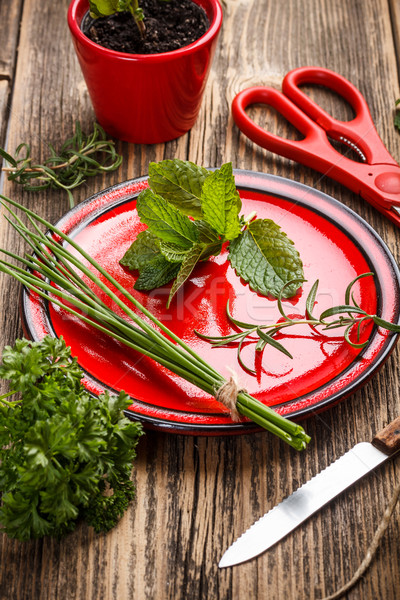 Stock photo: Freshly harvested spices 