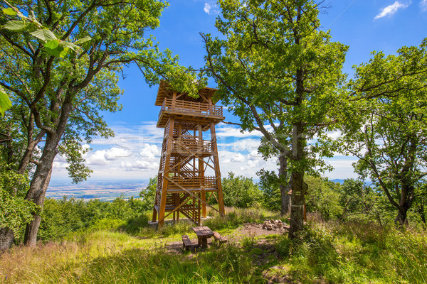 Wooden watch tower Stock photo © grafvision