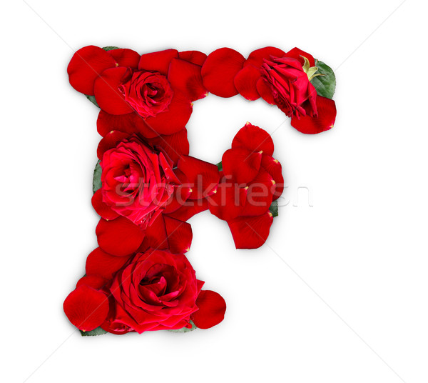 буква f красные розы лепестков изолированный белый цветок Сток-фото © grafvision