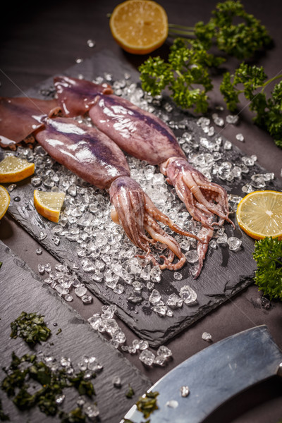 Fresh cuttlefish Stock photo © grafvision