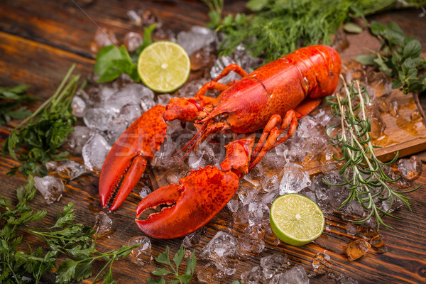 Homard glace herbes chaux alimentaire repas [[stock_photo]] © grafvision