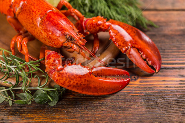 Boiled lobster Stock photo © grafvision
