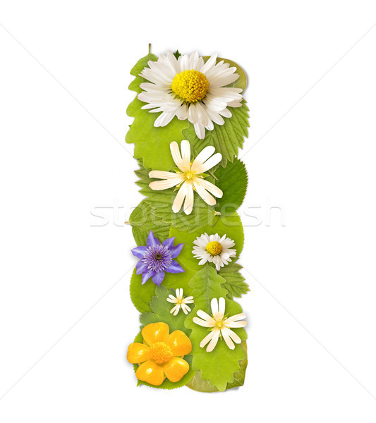 Zöld levél virág betűtípus fehér i betű fa Stock fotó © grafvision