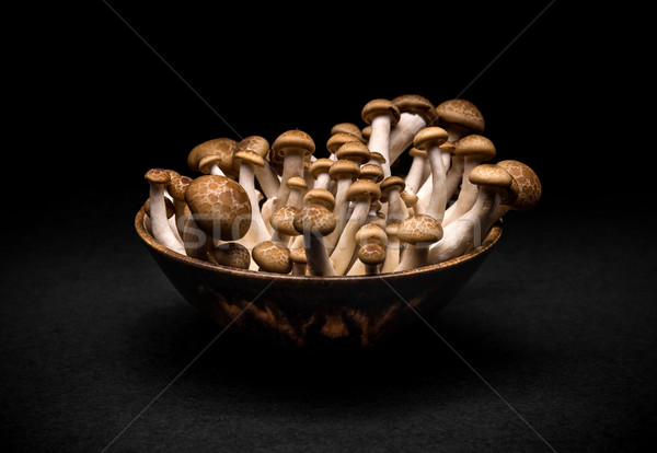 Kom japans populair champignons voedsel gezondheid Stockfoto © grafvision