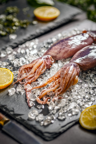 Fresh raw squid Stock photo © grafvision