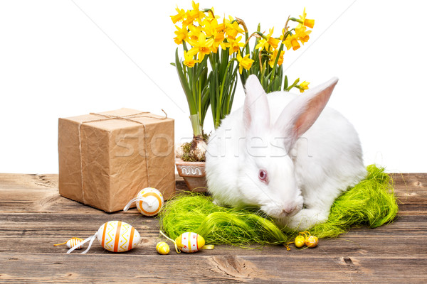 Conejo de Pascua caja de regalo huevos flor primavera feliz Foto stock © grafvision