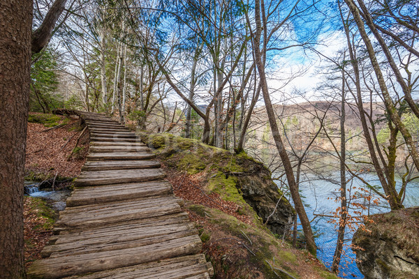 Turisztikai fából készült ösvény tavasz park Horvátország Stock fotó © grafvision