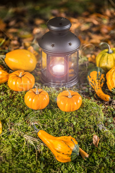 Halloween lanterne automne forêt [[stock_photo]] © grafvision