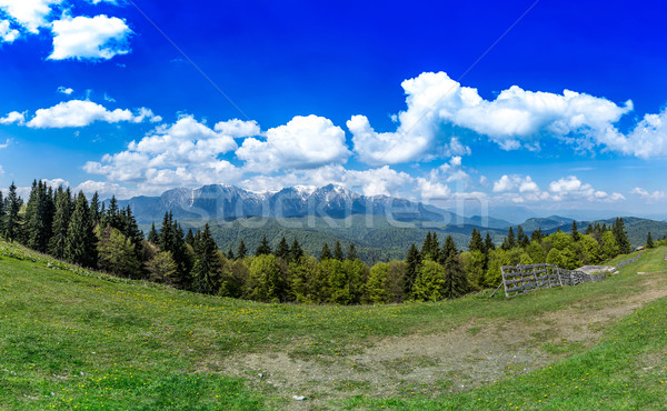 Landscape on the hills Stock photo © grafvision