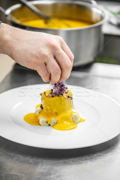 Chef decorating delicious dish Stock photo © grafvision