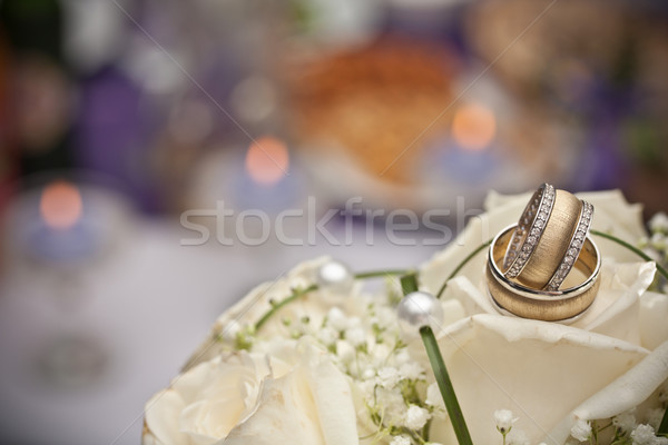 Trauringe Rosen Hochzeit Liebe Paar Gold Stock foto © grafvision