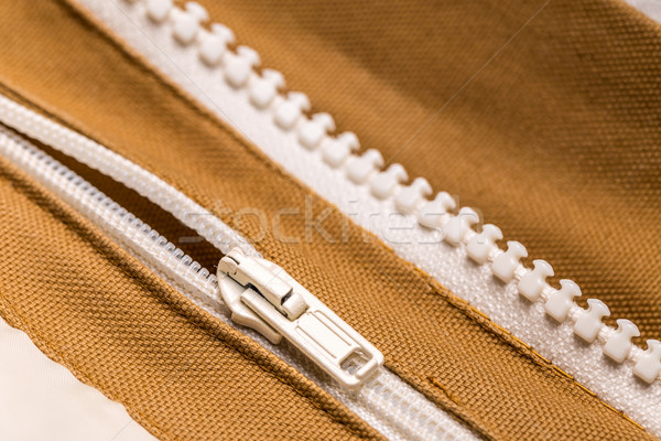 Coat with zipper Stock photo © grafvision