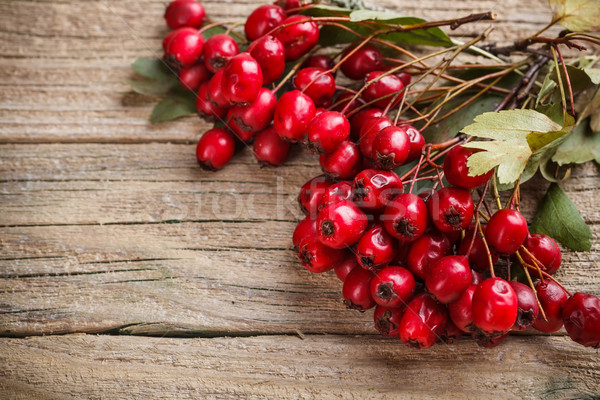 Frame made of hawthorn berries Stock photo © grafvision