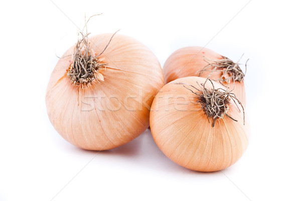 Onion Stock photo © grafvision