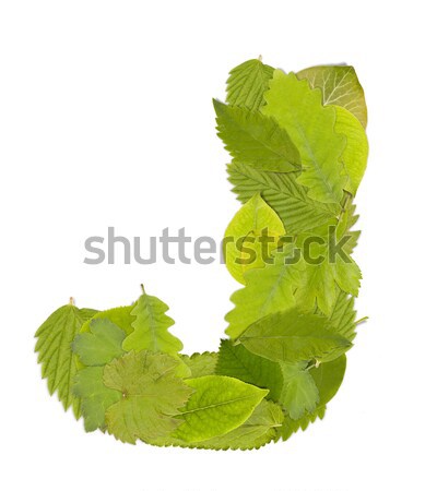 Zöld levél levél betűtípus fehér i betű fa Stock fotó © grafvision