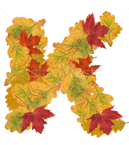 őszi levelek levél ábécé fa természet narancs Stock fotó © grafvision