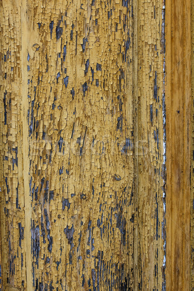 Wooden background  Stock photo © grafvision