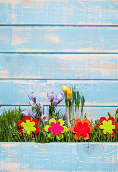 Spring time Stock photo © grafvision