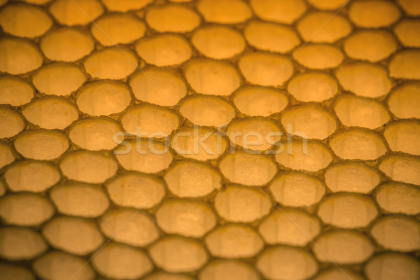 [[stock_photo]]: En · nid · d'abeille · modèle · naturelles · texture · abeille · horizons