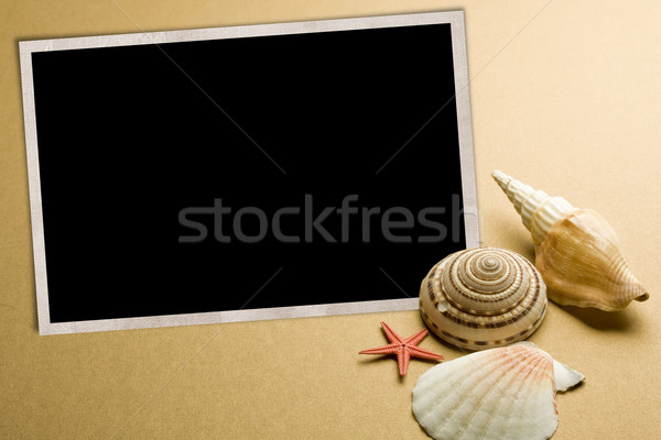 seashell photo frame Stock photo © grafvision
