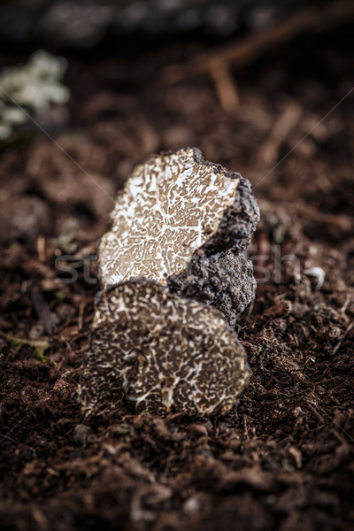Black truffles Stock photo © grafvision