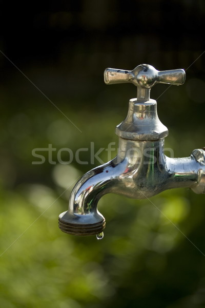 Faucet Stock photo © grafvision