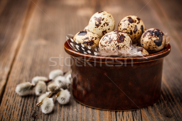 Yumurta söğüt rustik ahşap yumurta Stok fotoğraf © grafvision