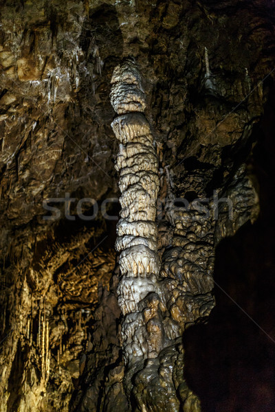 Inside cave scene Stock photo © grafvision