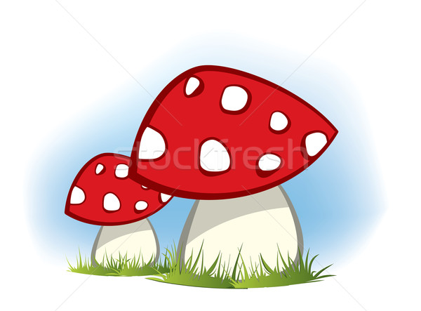Rood champignons voedsel gras bos landschap Stockfoto © graphit