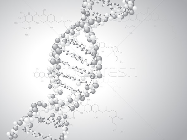 DNA spiral - molecules background Stock photo © graphit