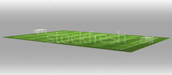 Terrain de football 3d illustration détaillée isolé gris herbe [[stock_photo]] © grasycho