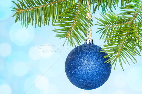 şube mavi önemsiz şey Noel ağaç Stok fotoğraf © Grazvydas