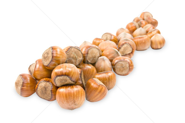 pile of hazelnuts Stock photo © Grazvydas